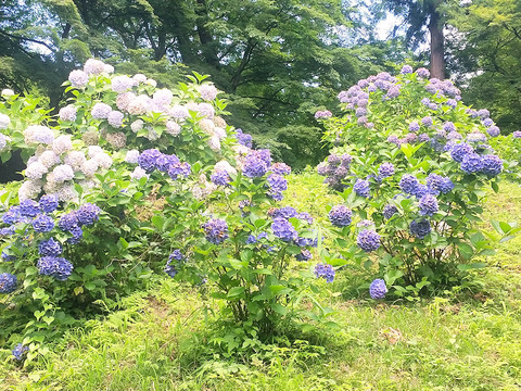 写真15