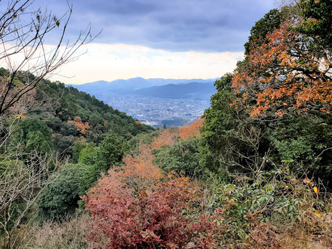 写真04