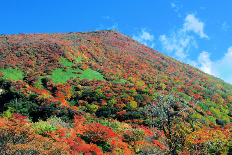 https://livedoor.blogimg.jp/mk2kpfb/imgs/7/d/7d3b1237.jpg