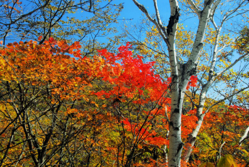 https://livedoor.blogimg.jp/mk2kpfb/imgs/7/e/7e9c063c.jpg