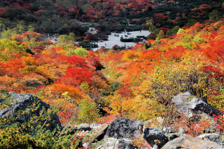 https://livedoor.blogimg.jp/mk2kpfb/imgs/7/f/7f768986.jpg