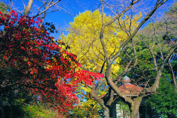 https://livedoor.blogimg.jp/mk2kpfb/imgs/8/0/8097899f.jpg