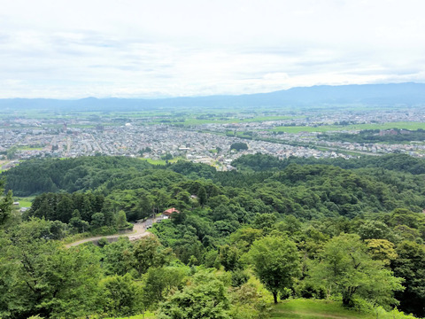 写真12