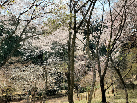 写真09