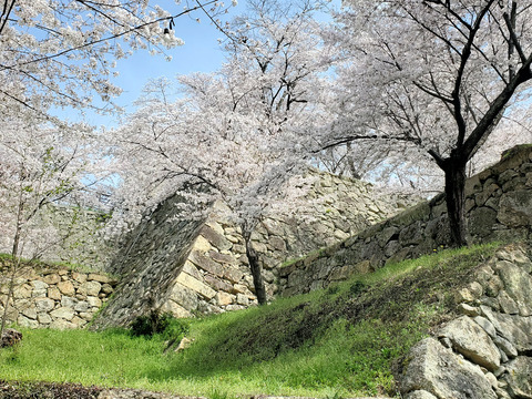写真078