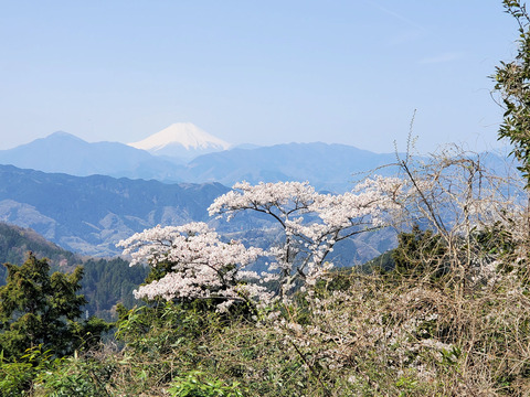 写真06