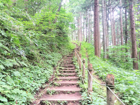 写真06