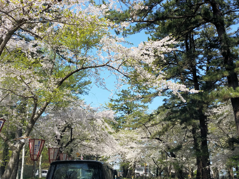イメージ 4