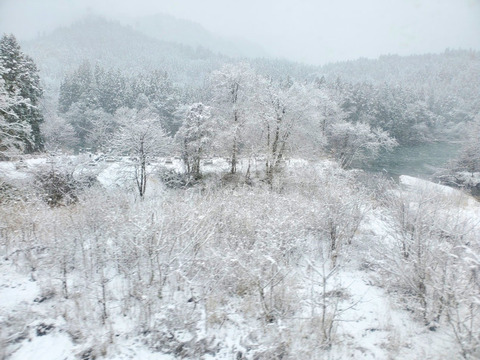 写真26