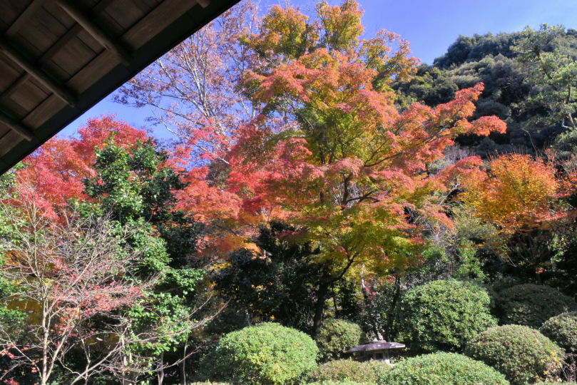 イメージ 10