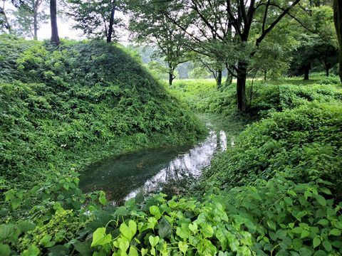 写真67