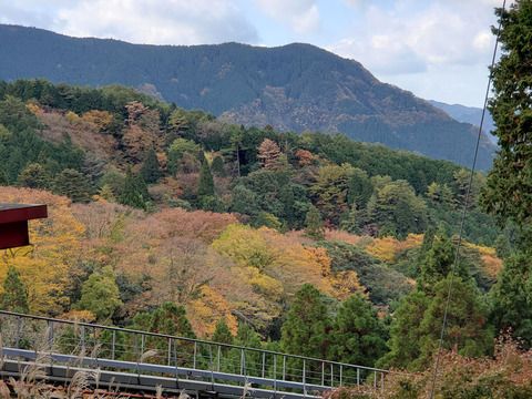 写真36