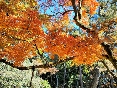 写真01