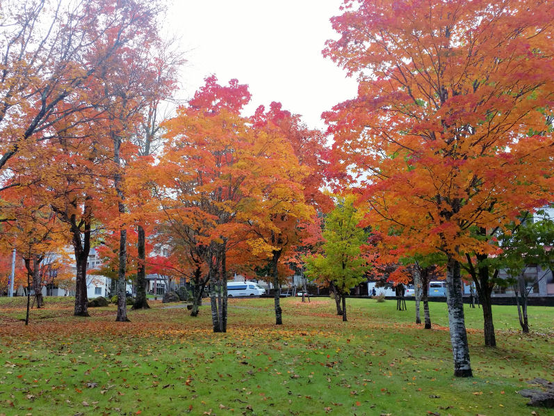 イメージ 7
