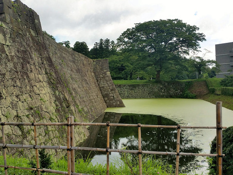 写真06