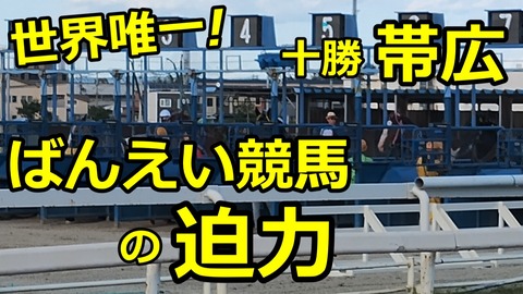 250922_ばんえい競馬