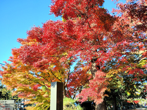 写真01
