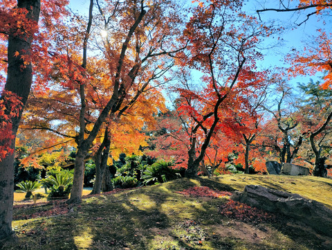 写真04
