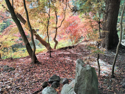 写真34