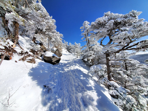 写真12