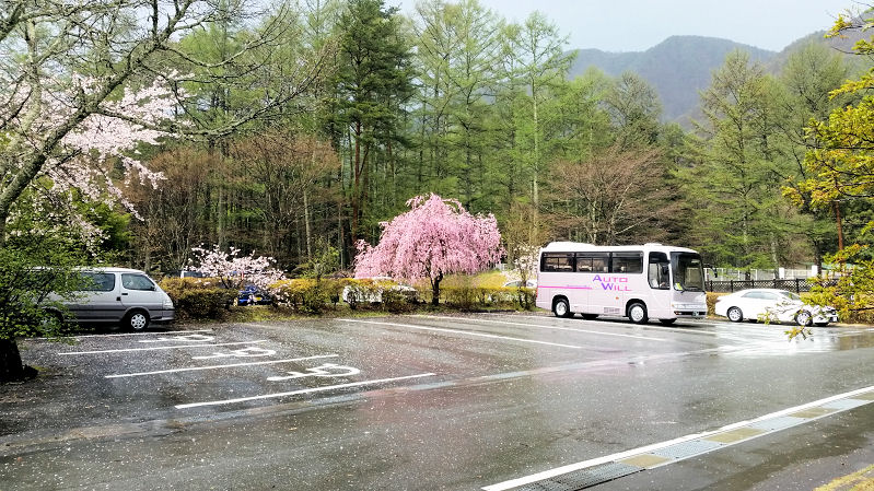 イメージ 5