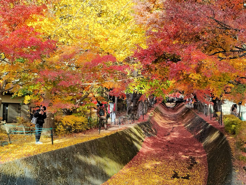 写真22