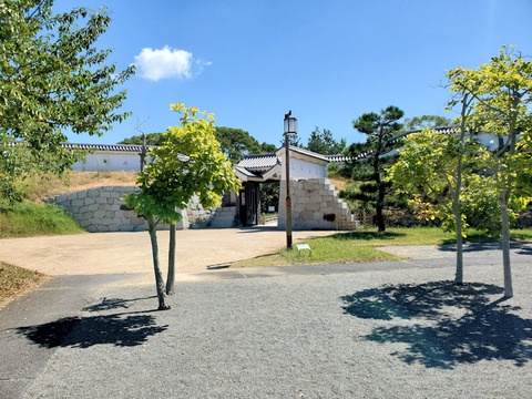 写真27