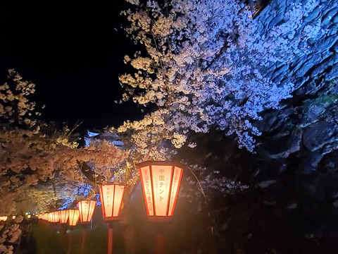 写真065