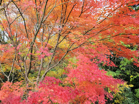 写真60