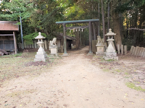写真05
