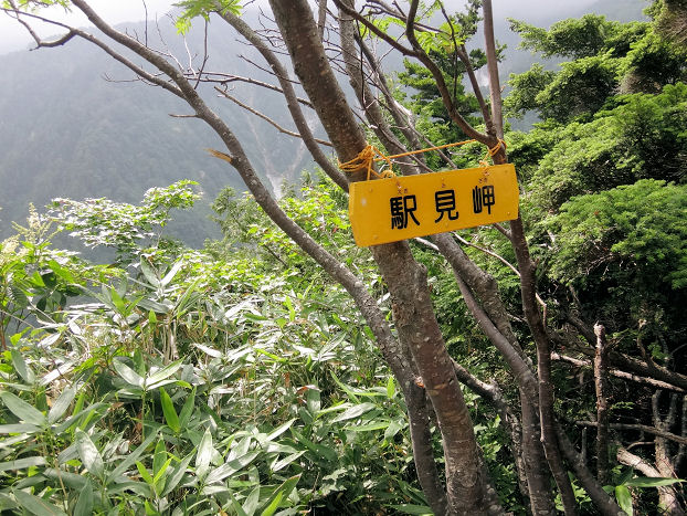 イメージ 16