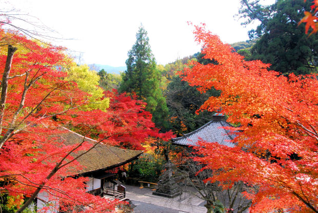 https://livedoor.blogimg.jp/mk2kpfb/imgs/9/b/9b30029a.jpg