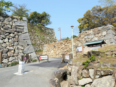 写真2