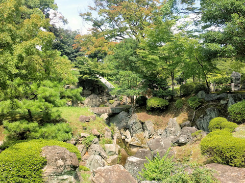写真18