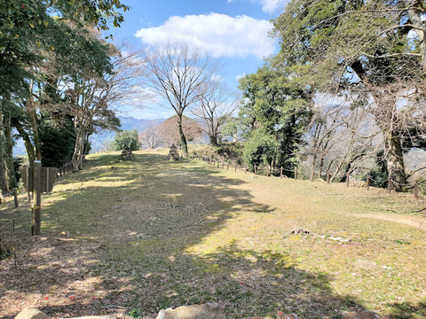 写真25