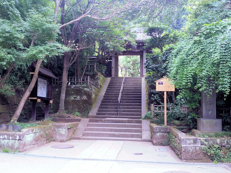イメージ 9