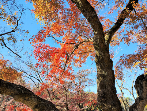 写真09