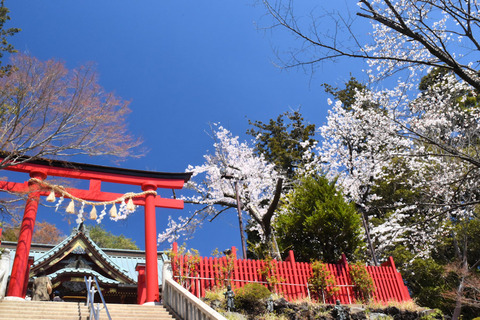 写真2