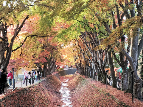 写真25