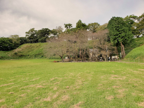 写真46