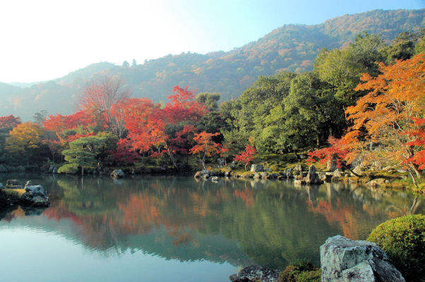 https://livedoor.blogimg.jp/mk2kpfb/imgs/a/3/a3cbbb2e.jpg