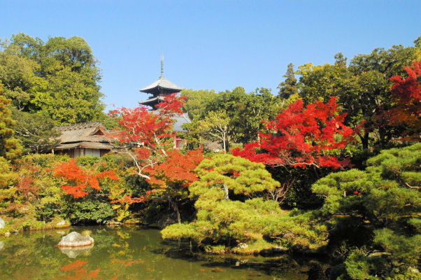 https://livedoor.blogimg.jp/mk2kpfb/imgs/a/7/a77f059f.jpg