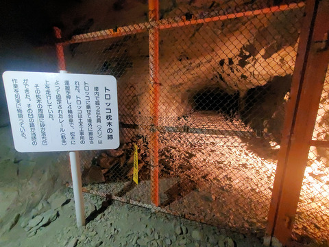 写真44