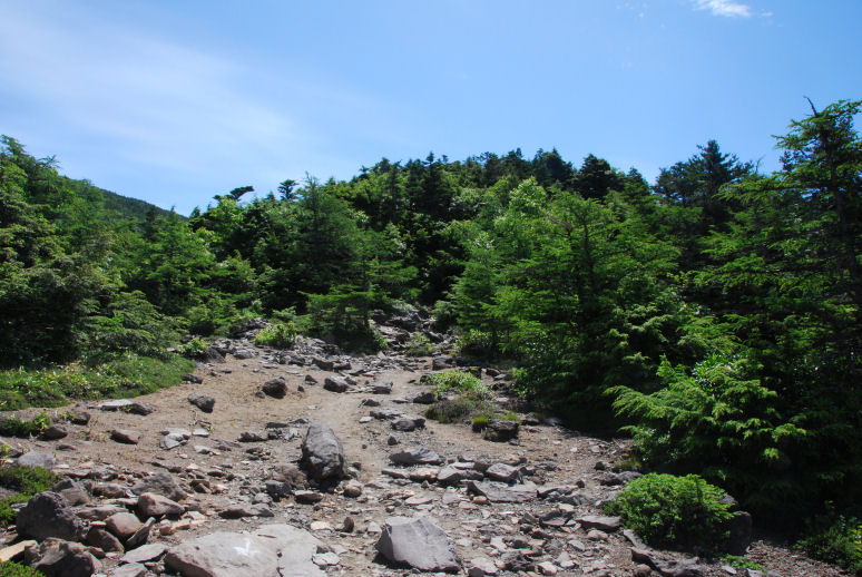 https://livedoor.blogimg.jp/mk2kpfb/imgs/a/a/aa5061bc.jpg