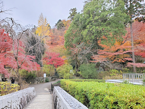 写真03