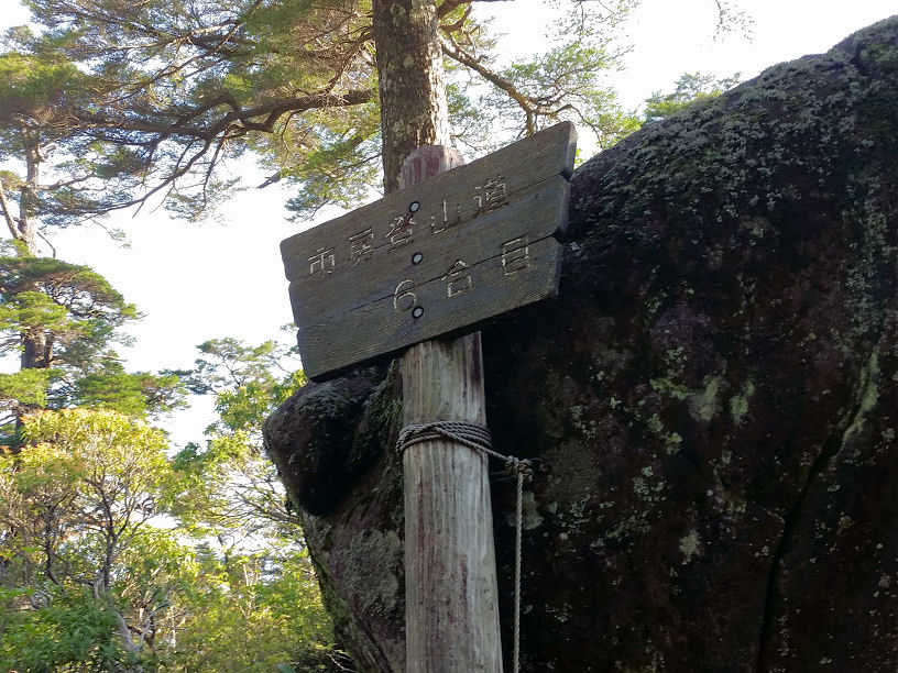 イメージ 5