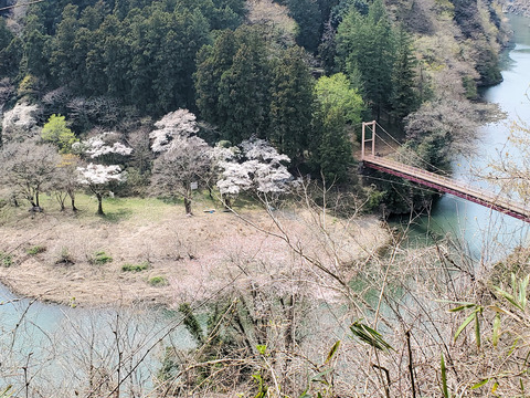 写真12