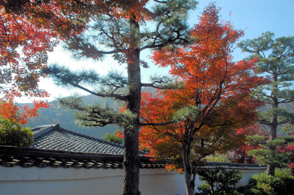 https://livedoor.blogimg.jp/mk2kpfb/imgs/a/b/ab6885fd.jpg