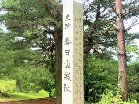 写真11
