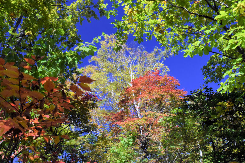 イメージ 15